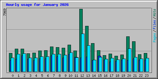 Hourly usage for January 2026